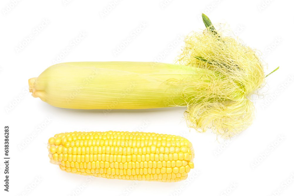 Fresh corn cobs on white background