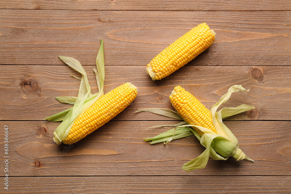 Fresh corn cobs on wooden background