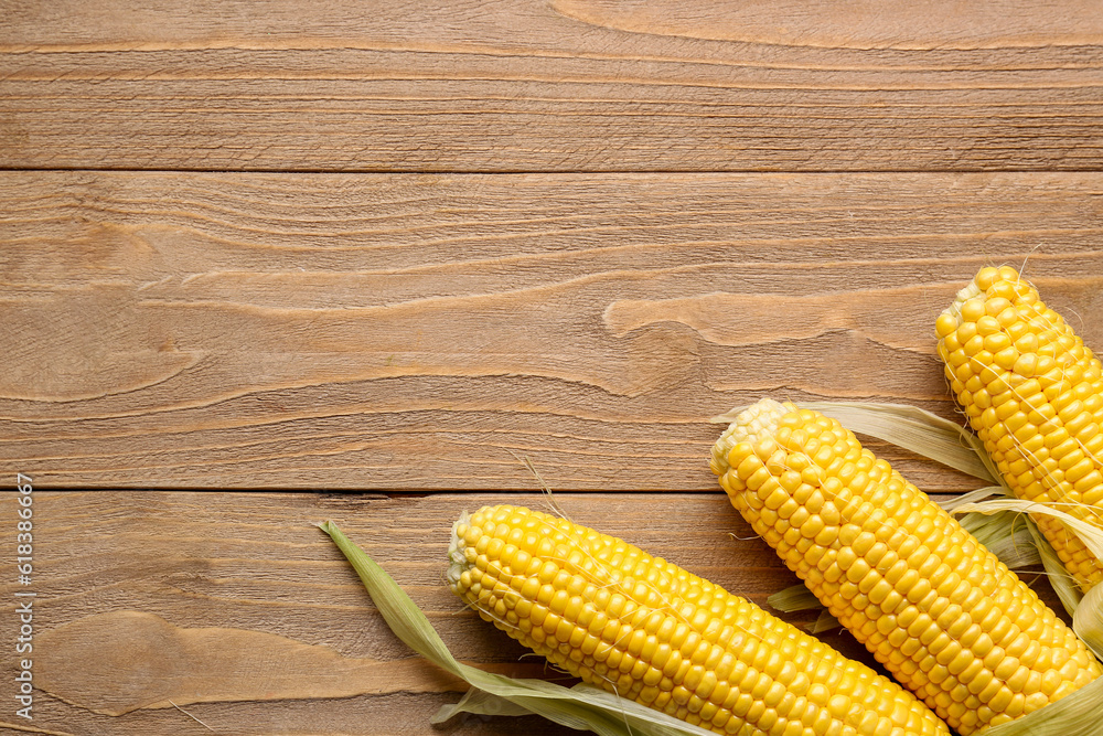 Fresh corn cobs on wooden background