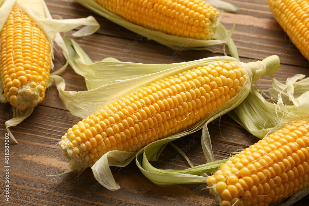 Fresh corn cobs on wooden background