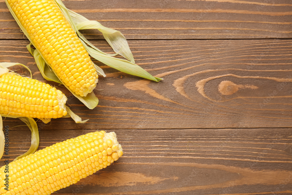 Fresh corn cobs on wooden background