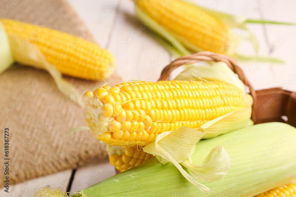 Wicker basket with fresh corn cobs on white wooden background, closeup