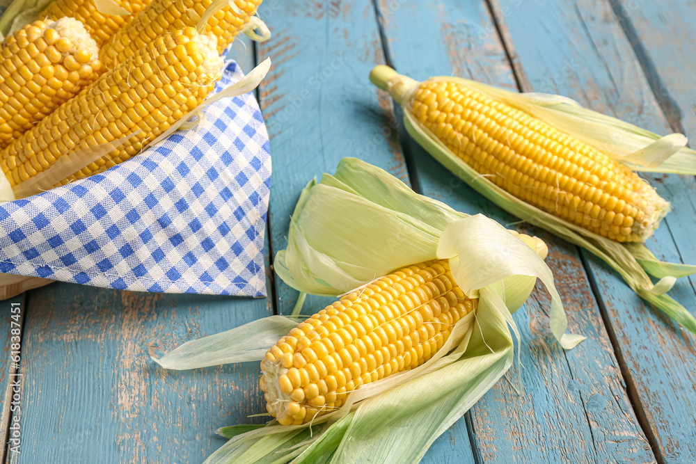 Basket with fresh corn cobs on blue wooden background