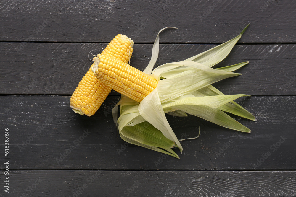 Fresh corn cobs on black wooden background