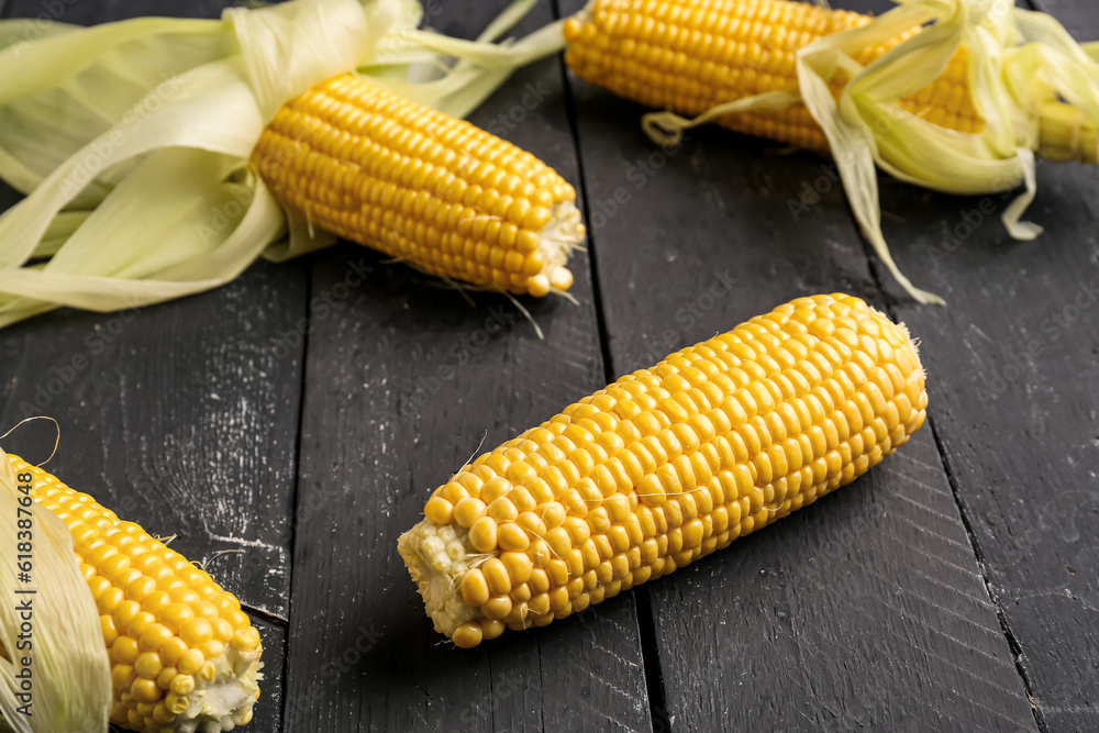 Fresh corn cobs on black wooden background