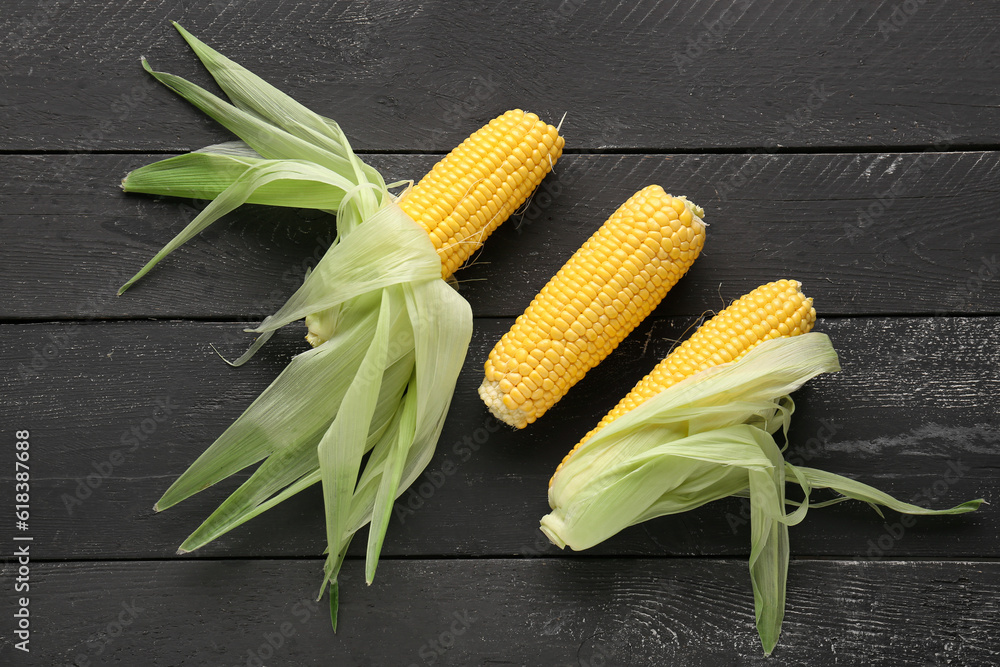 Fresh corn cobs on black wooden background