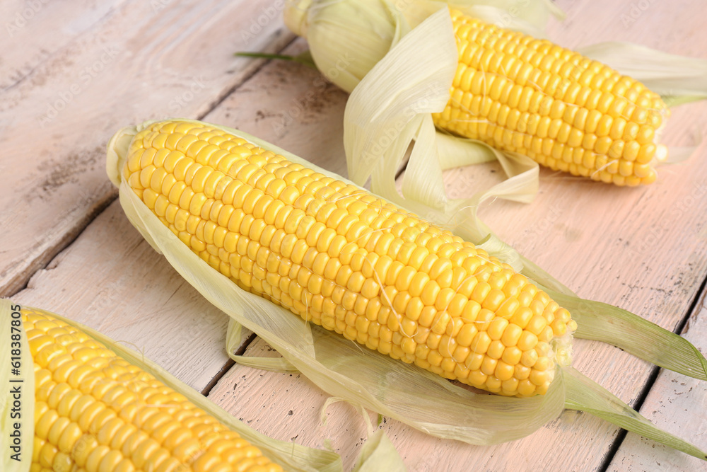 Fresh corn cobs on white wooden background