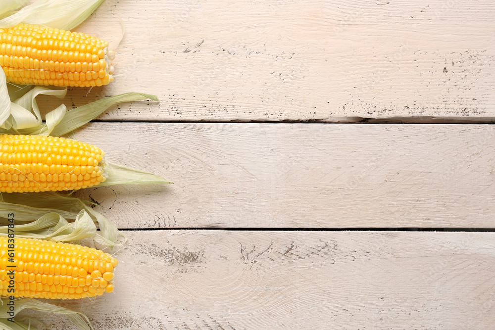 Fresh corn cobs on white wooden background