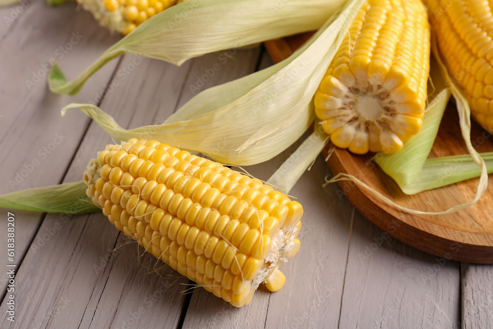 Board with fresh corn cobs on grey wooden background