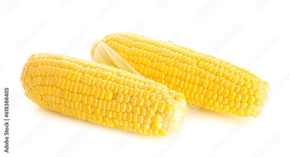 Fresh corn cobs on white background