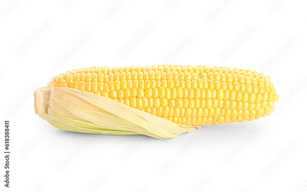 Fresh corn cob on white background