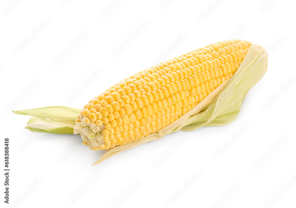 Fresh corn cob on white background