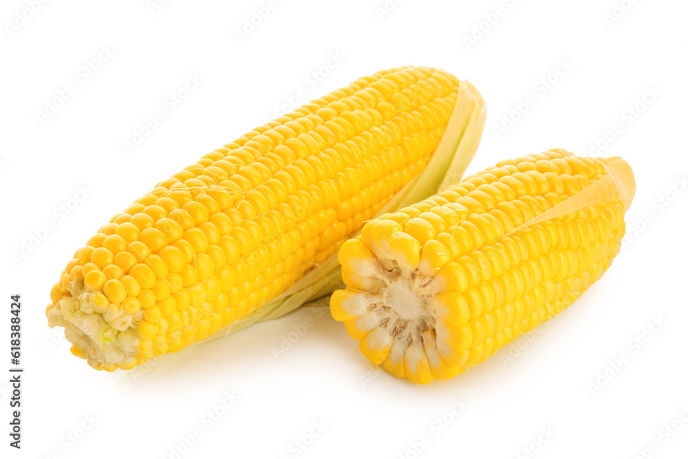 Fresh corn cobs on white background