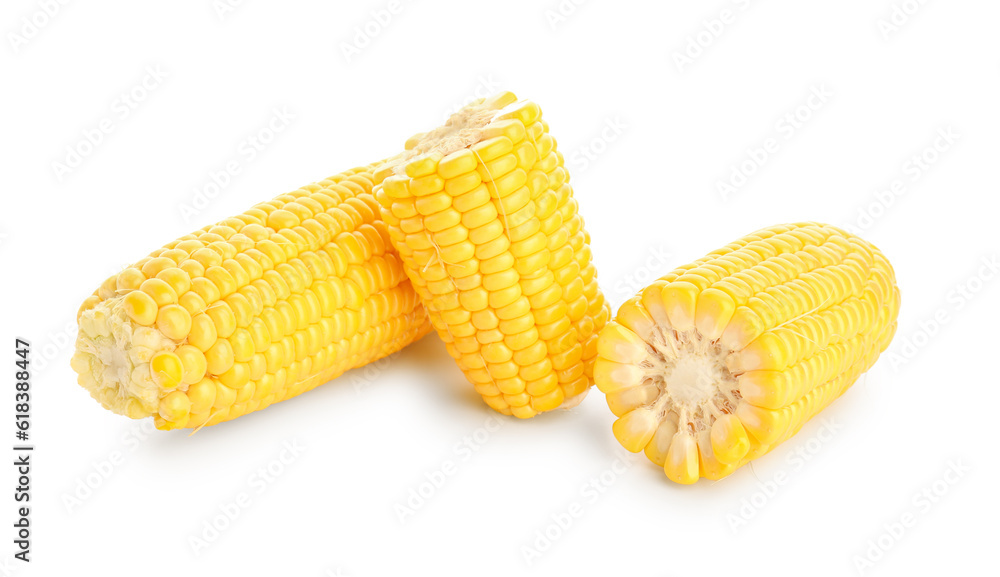 Fresh corn cobs on white background