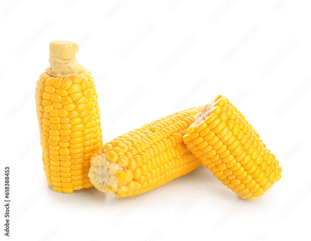 Fresh corn cobs on white background