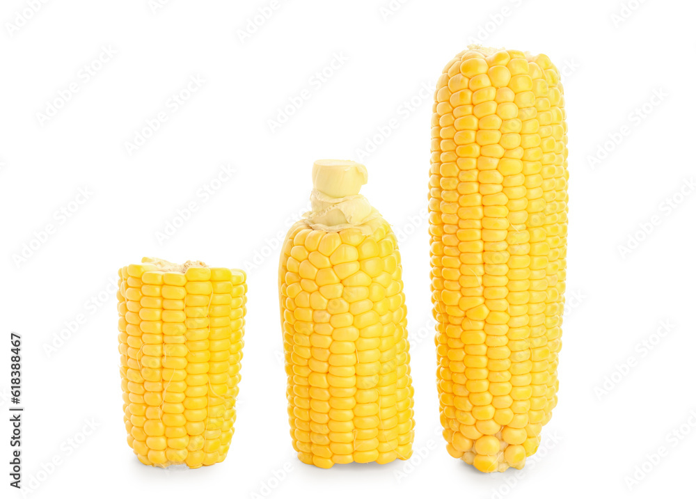 Fresh corn cobs on white background