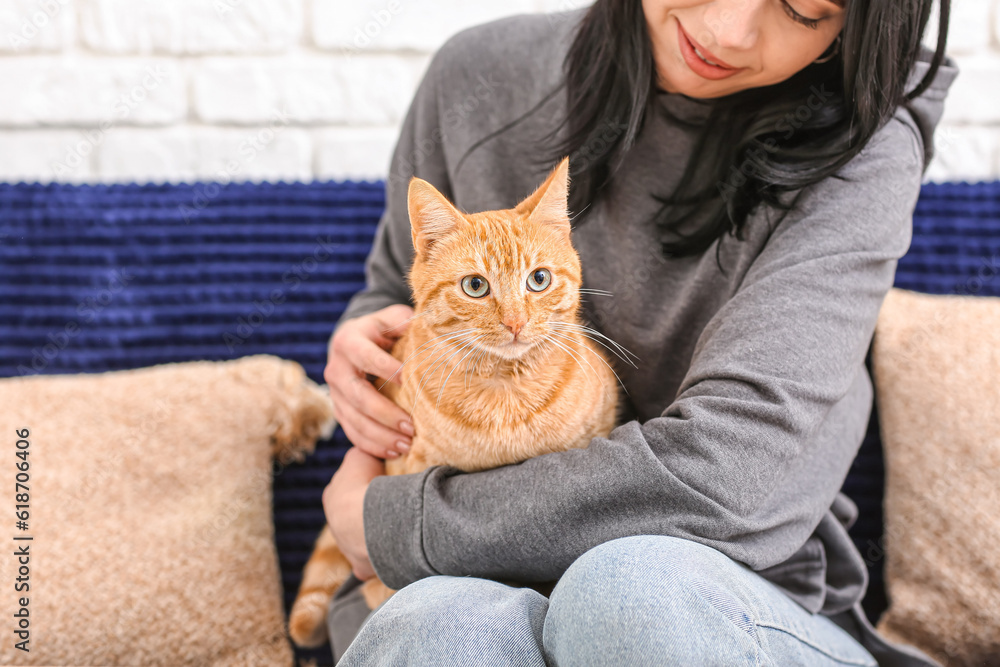 Woman stroking ginger cat on sofa at home, closeup