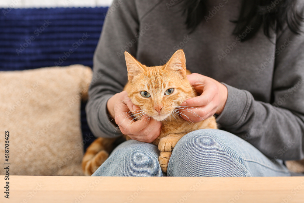 Woman stroking ginger cat on sofa at home, closeup