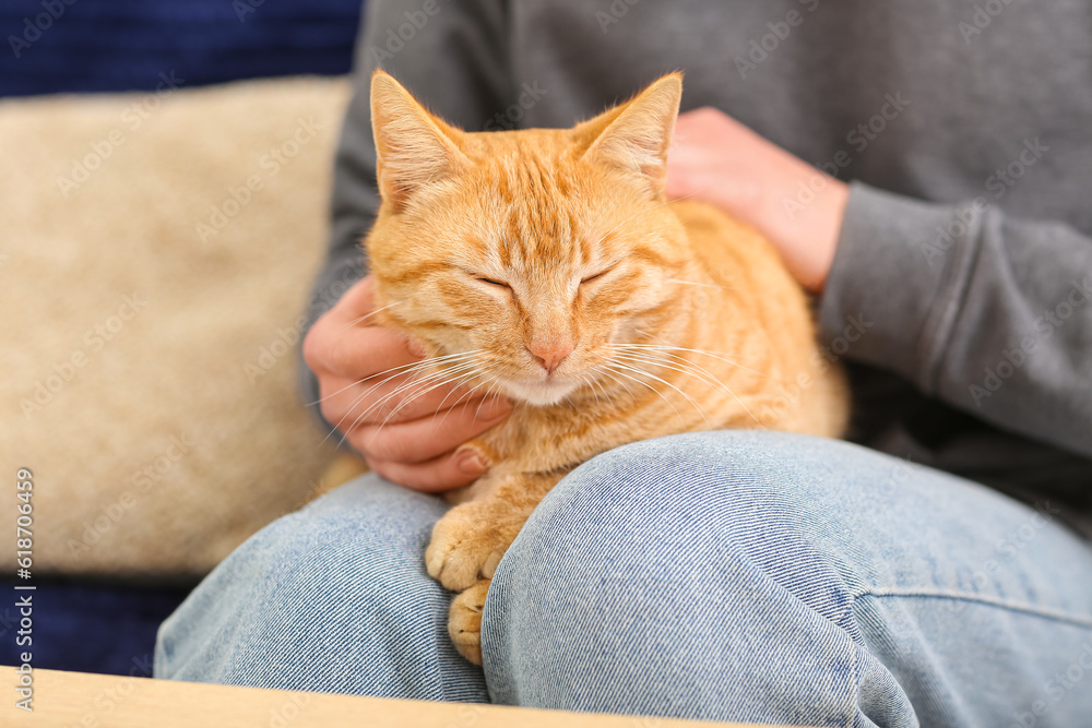 Woman stroking ginger cat on sofa at home, closeup