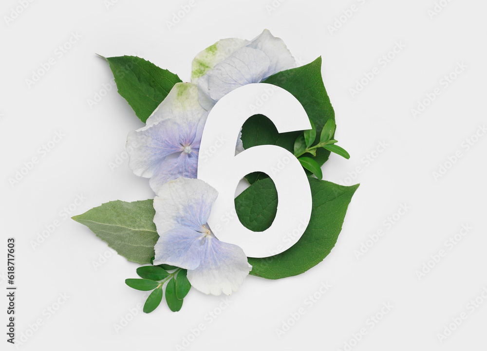 Green leaves and flowers with paper number six on white background