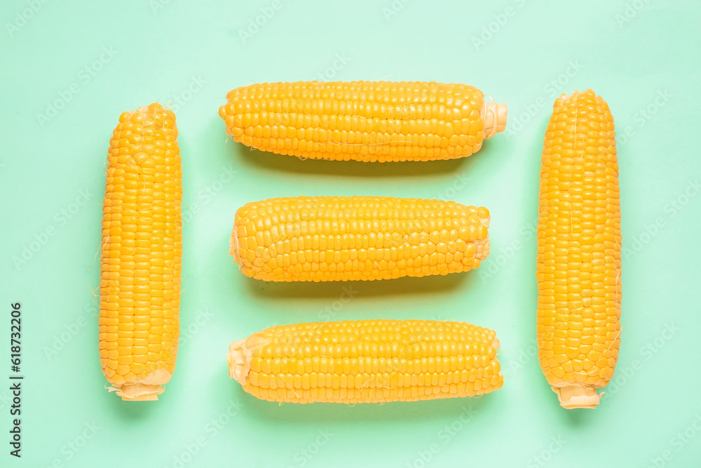 Fresh corn cobs on turquoise background