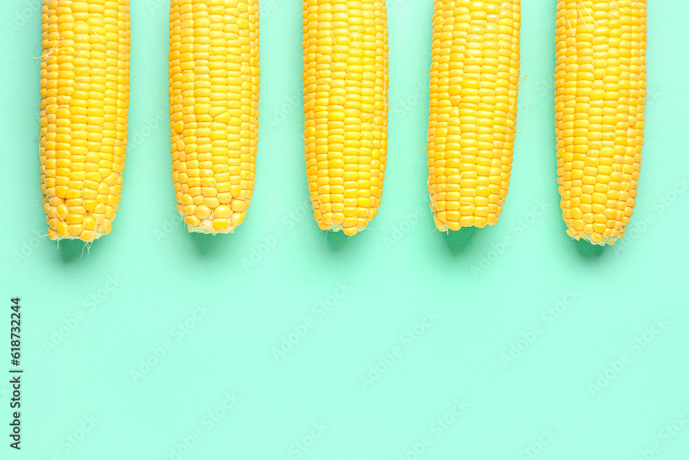 Fresh corn cobs on turquoise background