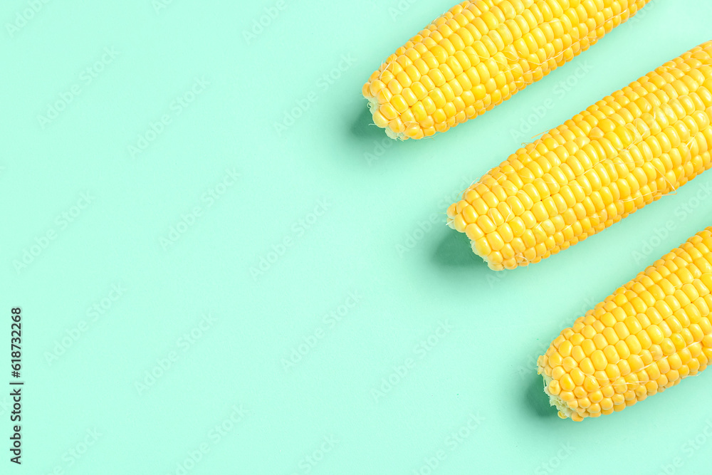 Fresh corn cobs on turquoise background