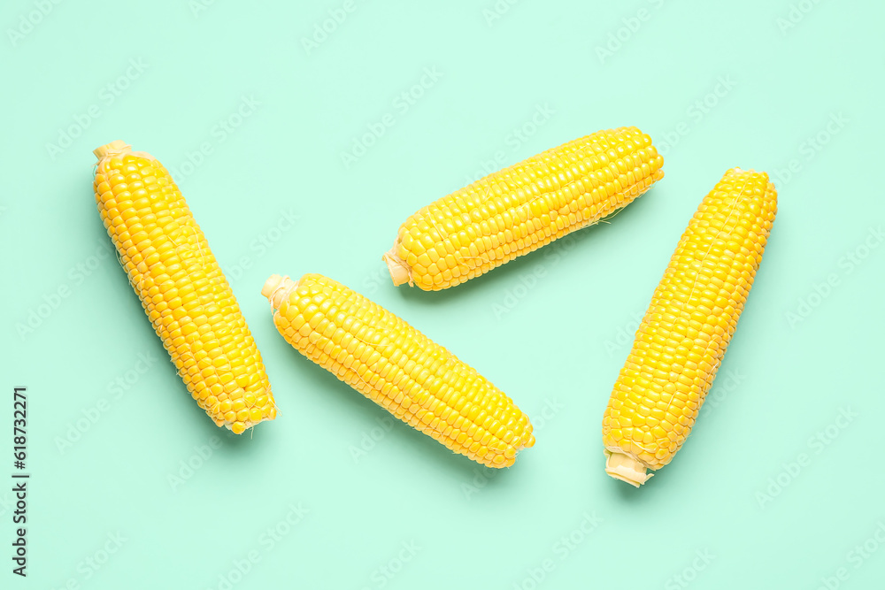 Fresh corn cobs on turquoise background