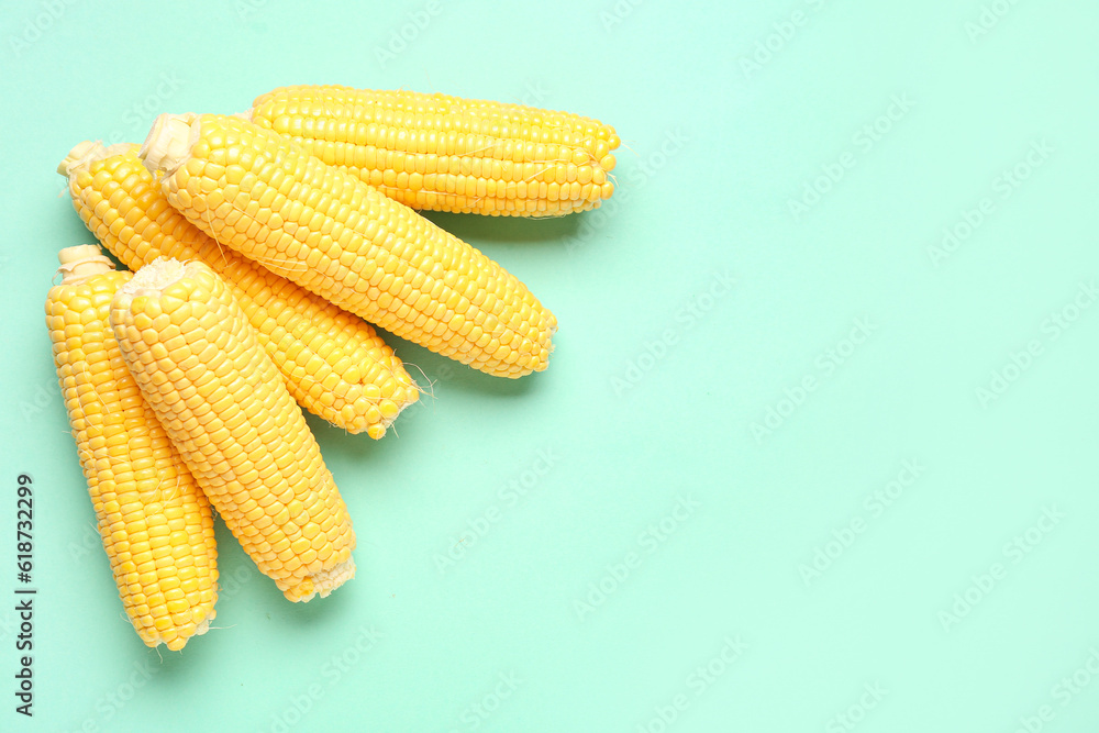 Fresh corn cobs on turquoise background