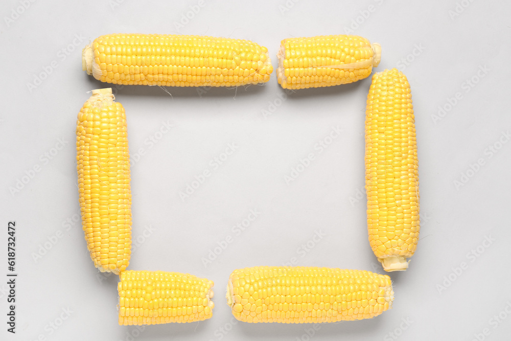 Frame made of fresh corn cobs on grey background