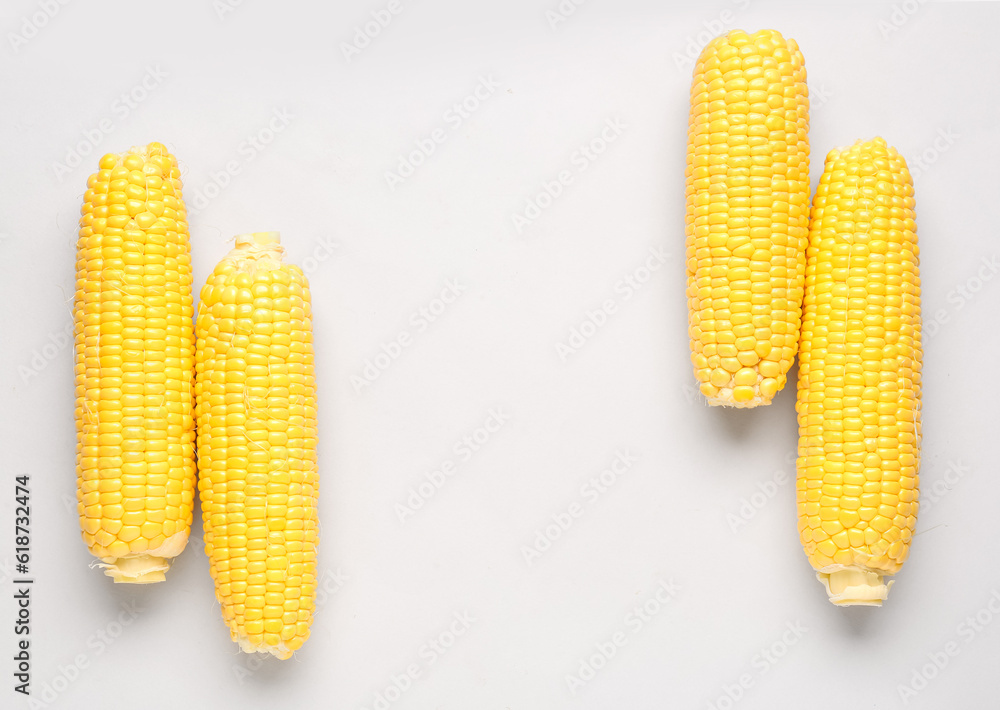 Fresh corn cobs on grey background