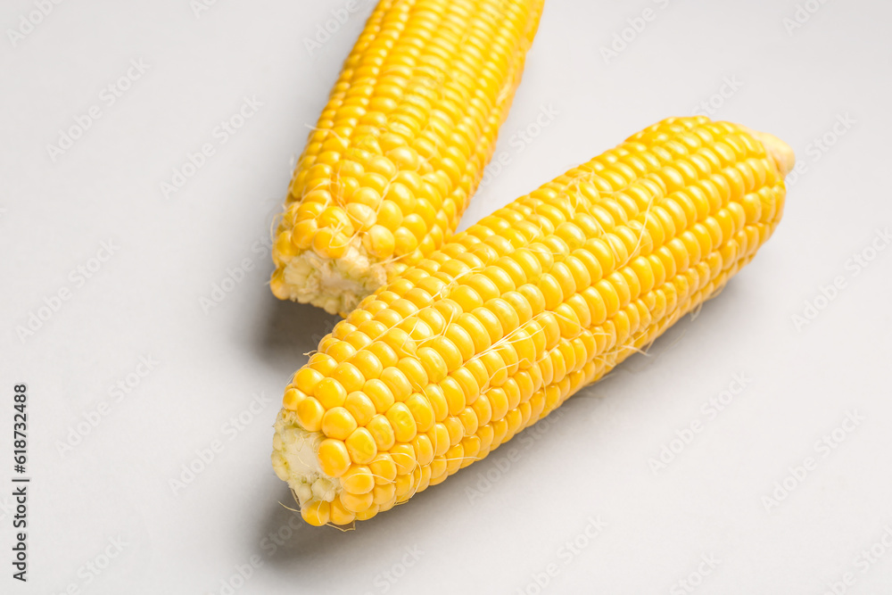 Fresh corn cobs on grey background