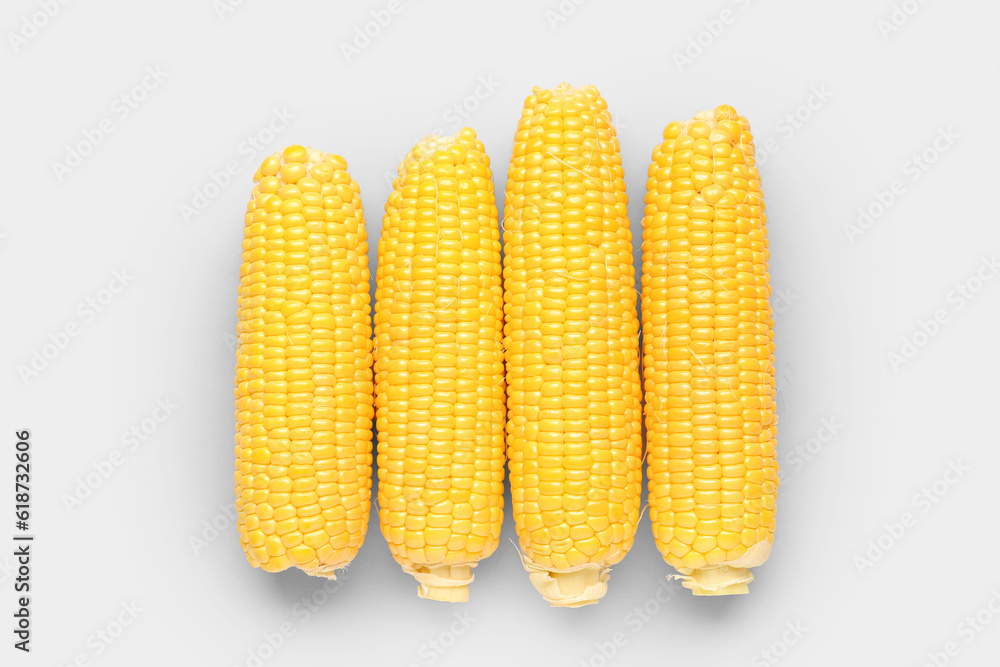 Fresh corn cobs on grey background