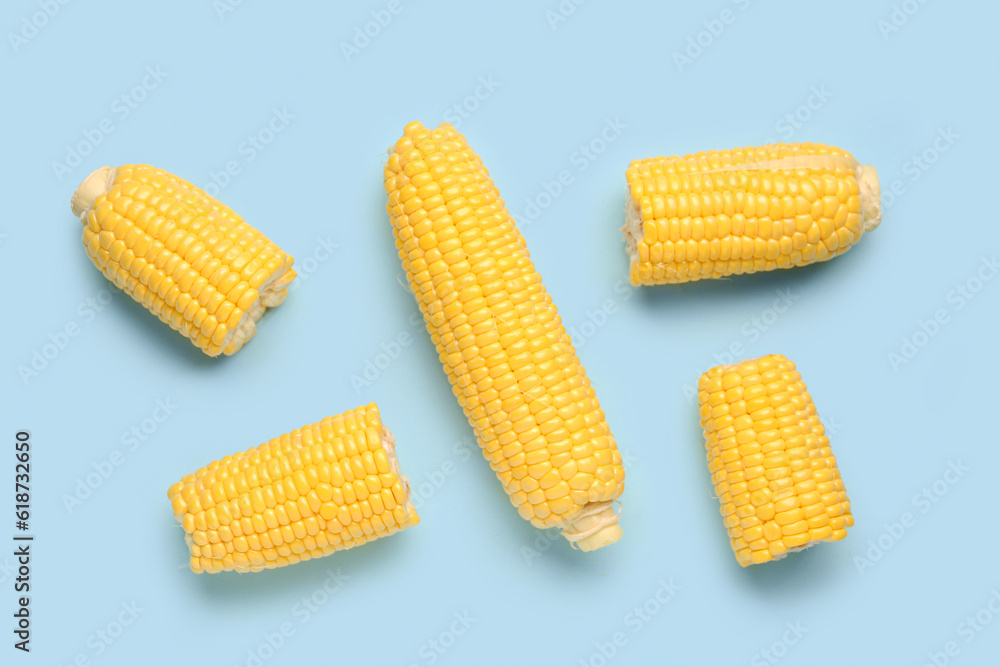 Fresh corn cobs on blue background