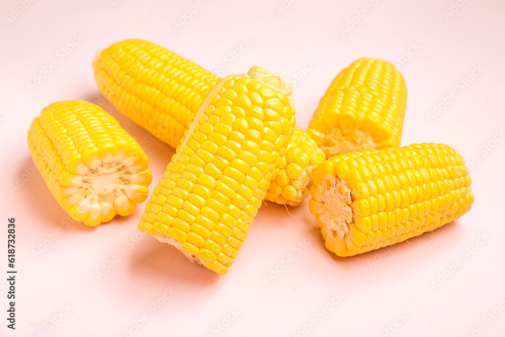 Fresh corn cobs on pink background