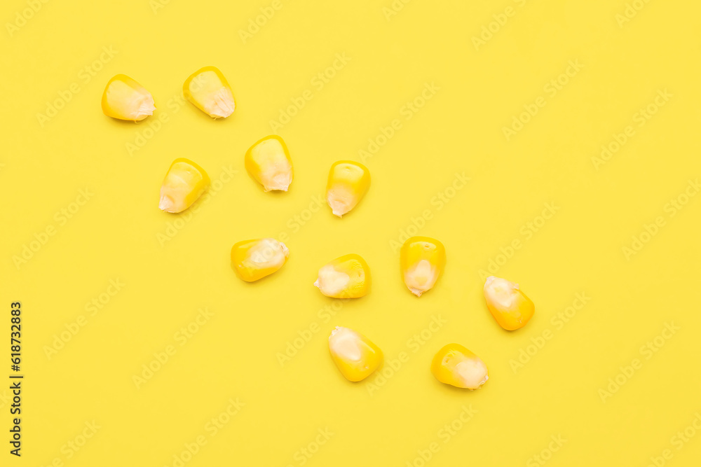 Fresh corn seeds on yellow background