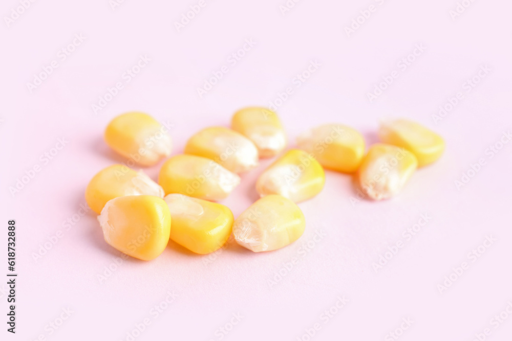 Fresh corn seeds on pink background