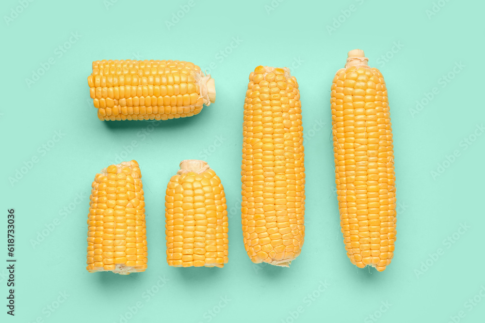 Fresh corn cobs on blue background