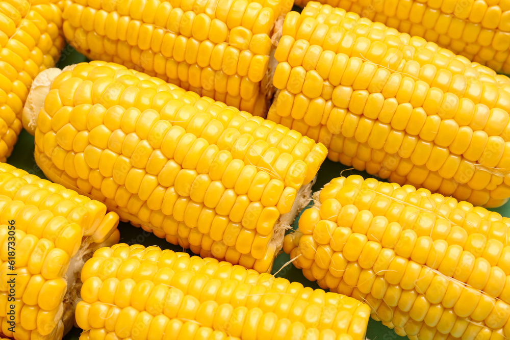 Texture of fresh corn cobs as background