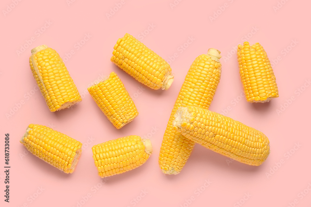 Fresh corn cobs on pink background