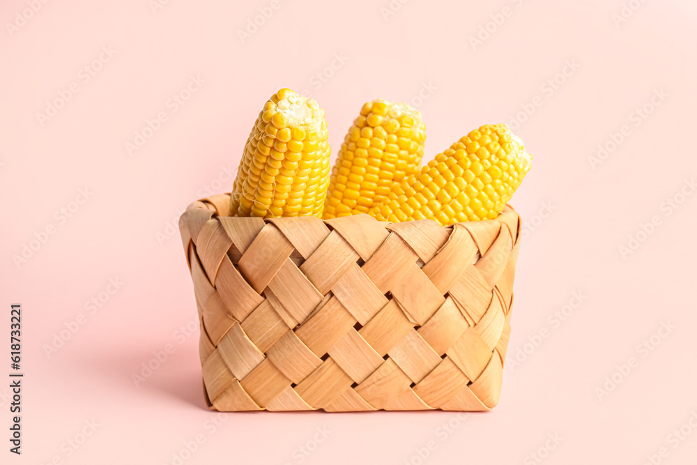 Wicker basket with fresh corn cobs on pink background