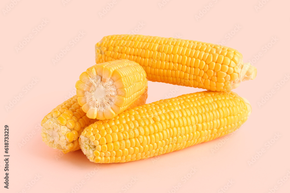 Fresh corn cobs on pink background