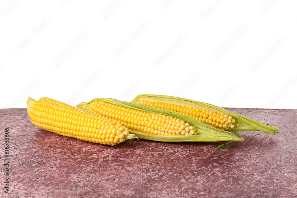 Fresh corn cobs on purple table against white background