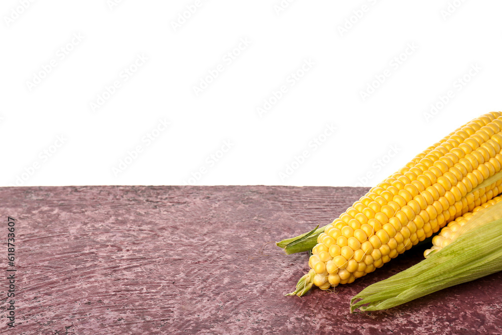 Fresh corn cobs on purple table against white background