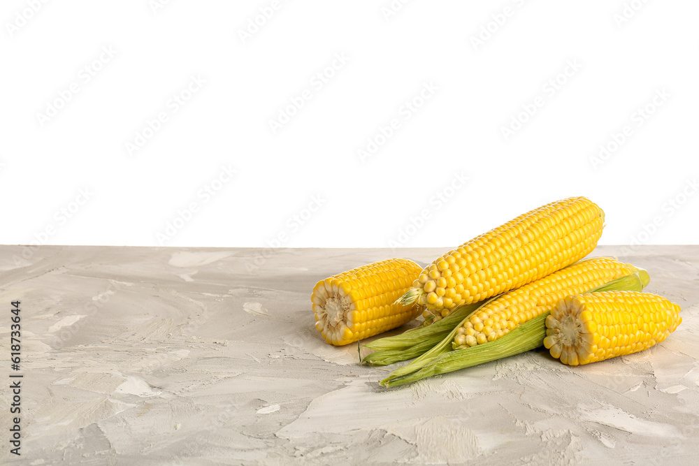 Fresh corn cobs on grey table against white background