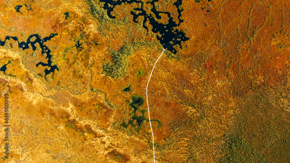 Upland And Transitional Bogs With Numerous Lakes. Elevated Aerial View Of Yelnya Nature Reserve Land