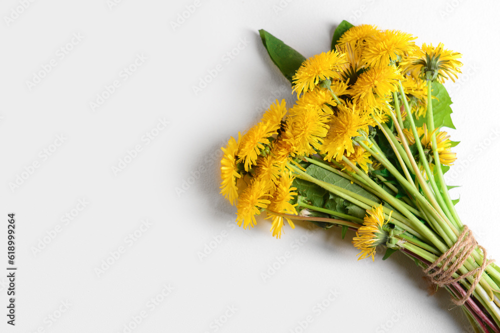 Bouquet of beautiful dandelion flowers on light background