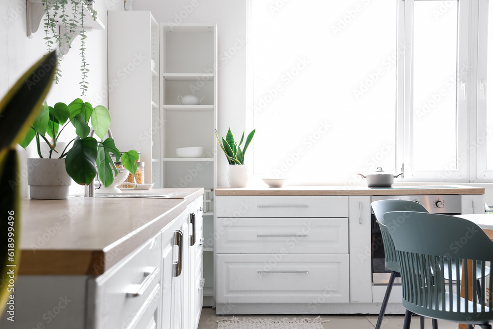 Interior of light kitchen with white counters, houseplants and window