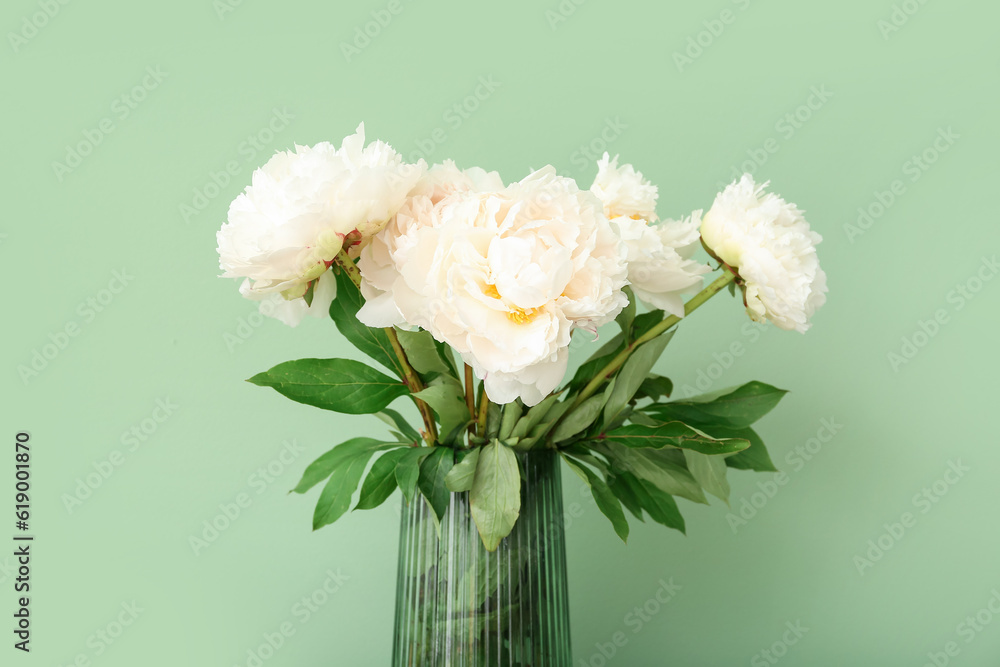 Vase of white peonies on green background