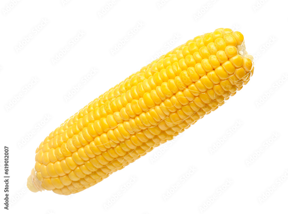 Fresh corn cob on white background